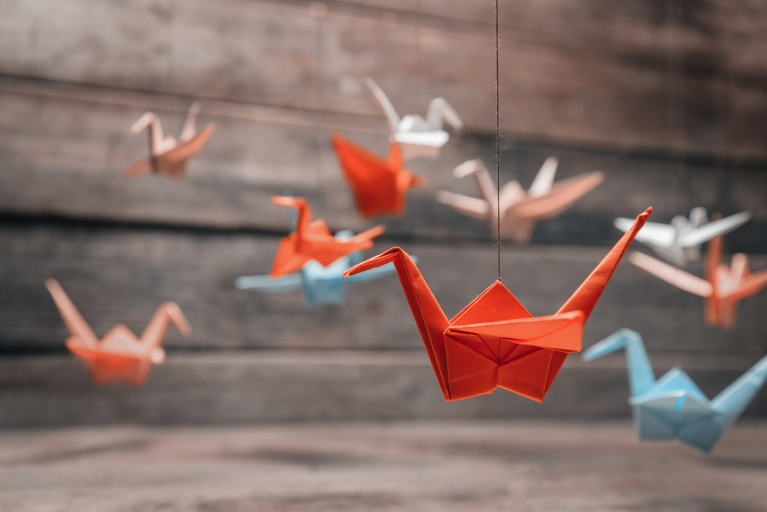 Més informació sobre l'article Tot el que has de saber sobre l’origami