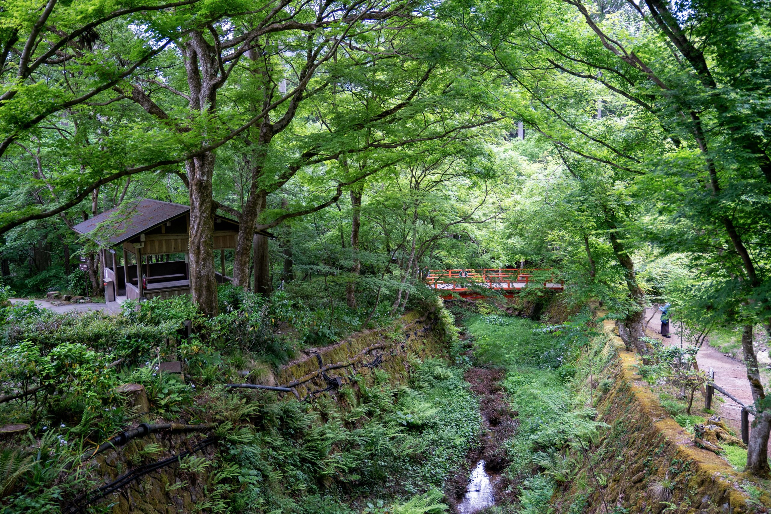 Lee más sobre el artículo Descubriendo las curiosidades del encantador entorno rural de Japón