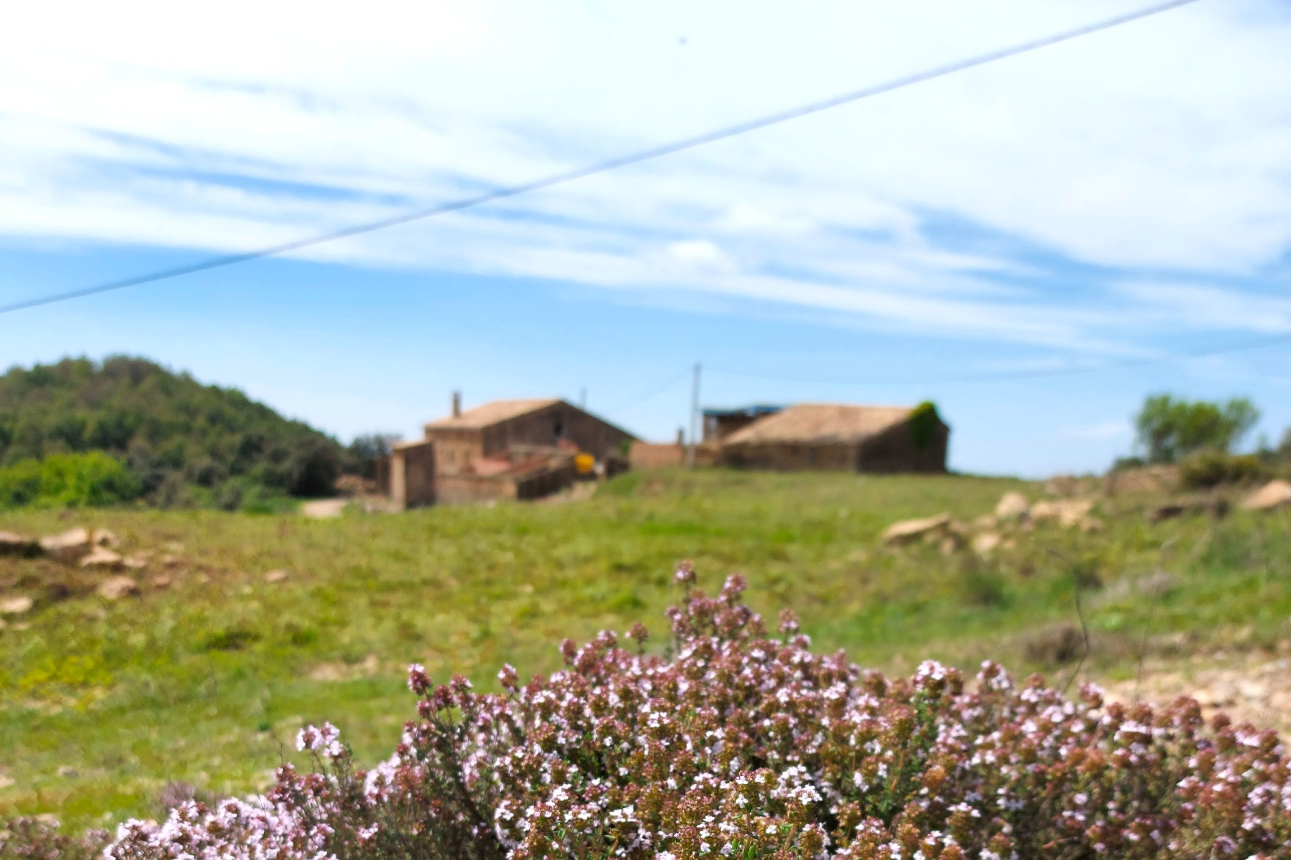 Lee más sobre el artículo Escapada de primavera al Hotel Japonès Puigpinós: naturaleza, cultura y tranquilidad en el Solsonès