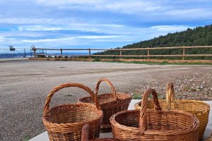 Més informació sobre l'article Momiji al Solsonès: viure la tardor entre boscos, bolets i calma japonesa