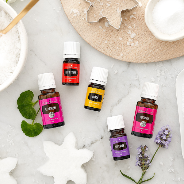 48705872077_c5282268ac_b 48705872077_c5282268ac_b