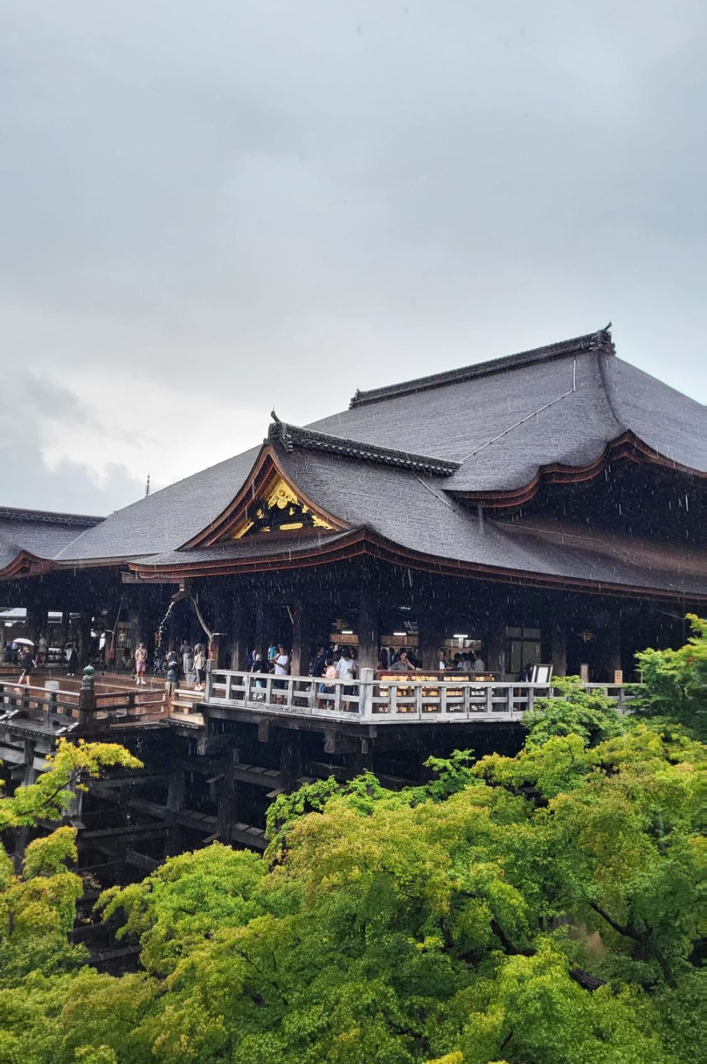 PHOTO-2025-04-25-15-41-46 (1)