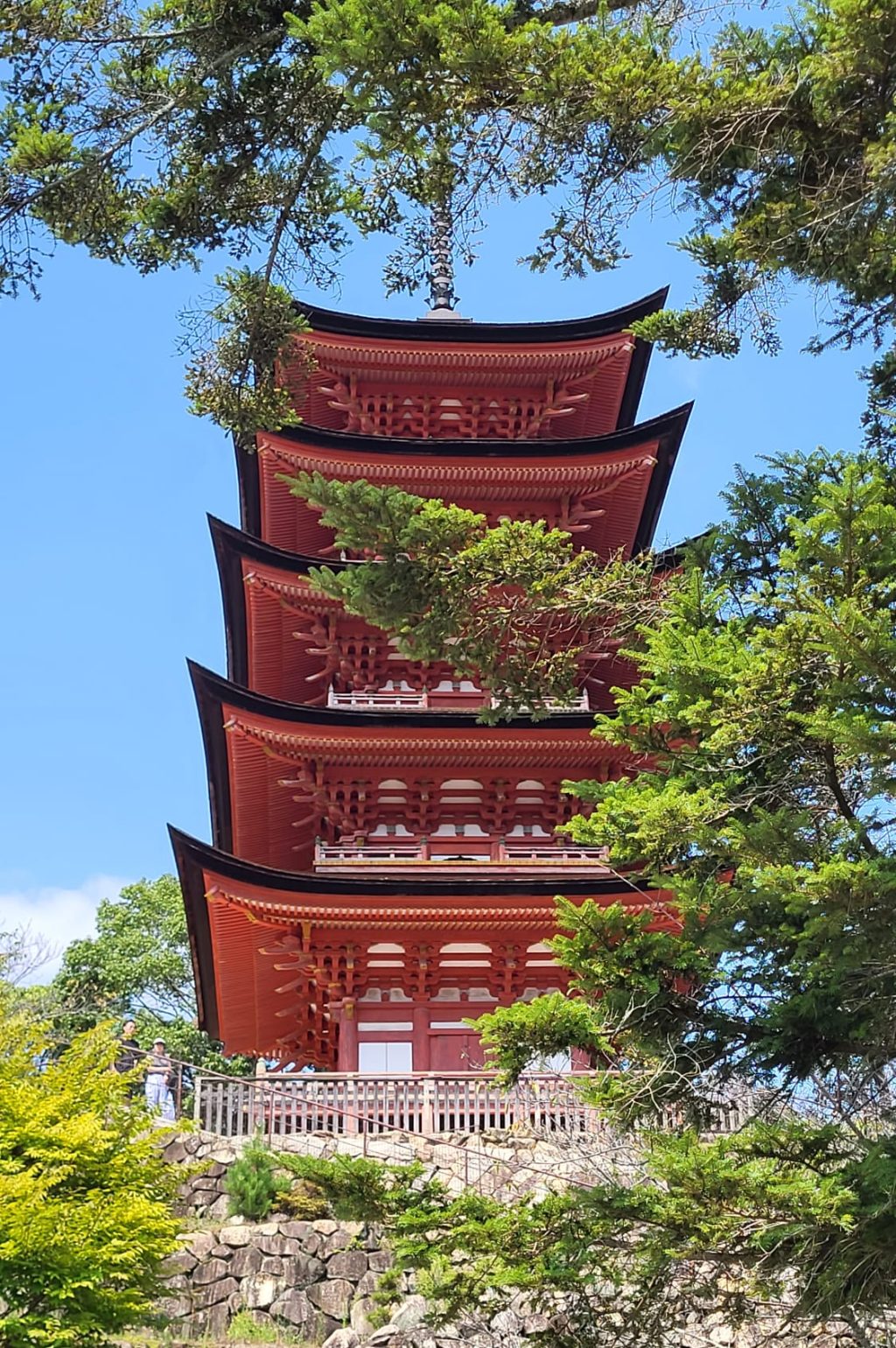 PHOTO-2025-04-25-15-41-52