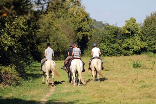 passeig_cavalls-min